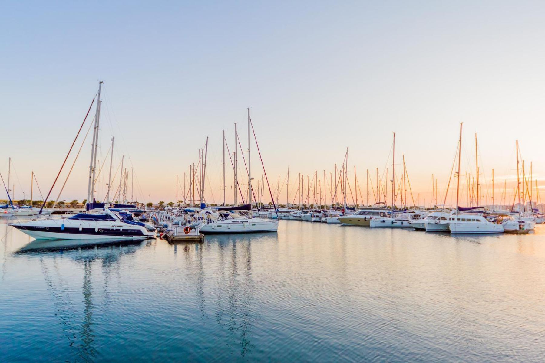 Alegria Id49 Apartman Torrevieja Kültér fotó